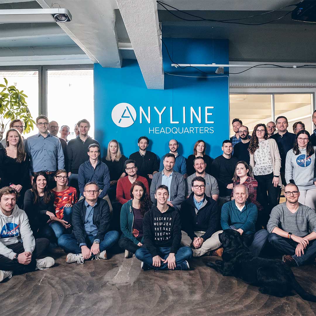 Anyline Team Images