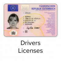 german driver´s license