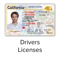 california driving license