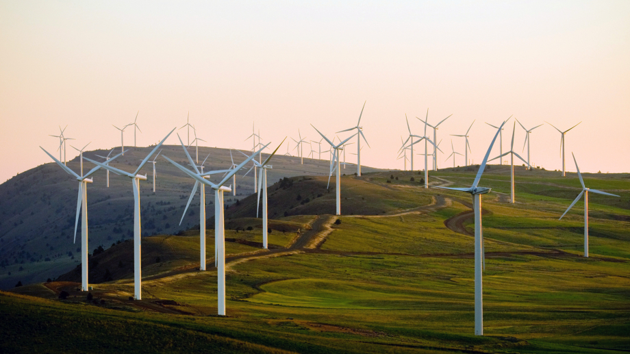 wind turbines in a grass field