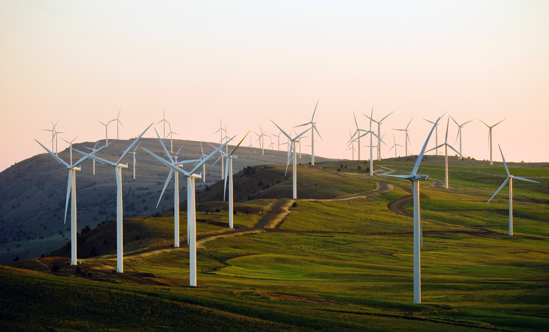 wind turbines in a grass field