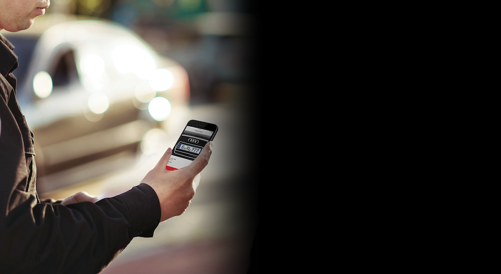 Mobile license plate scanner in a smartphone