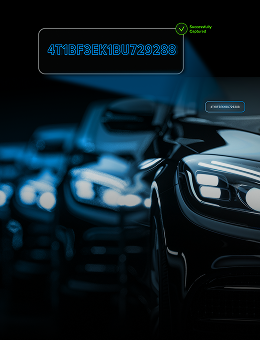 Cars with highlighted VIN